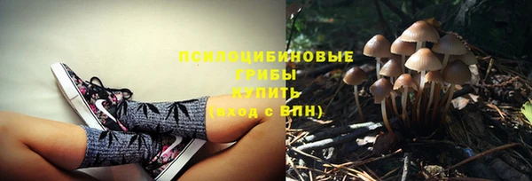 ешки Каменногорск