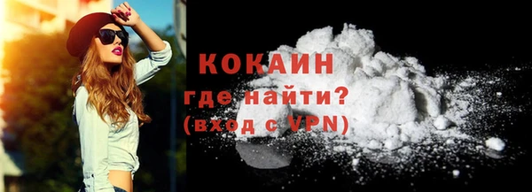 тгк Каменка