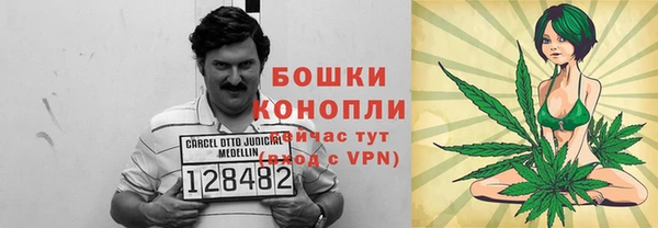 ешки Каменногорск