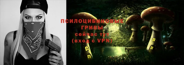 ешки Каменногорск