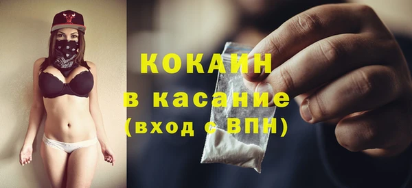 тгк Каменка
