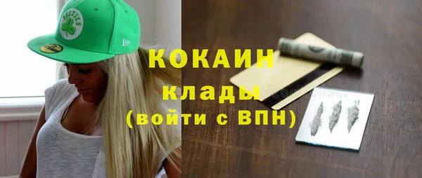 тгк Каменка