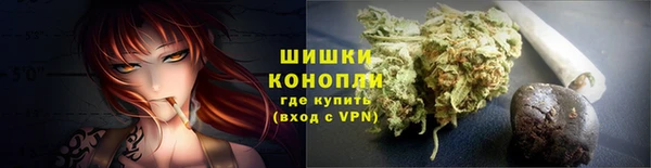 ешки Каменногорск