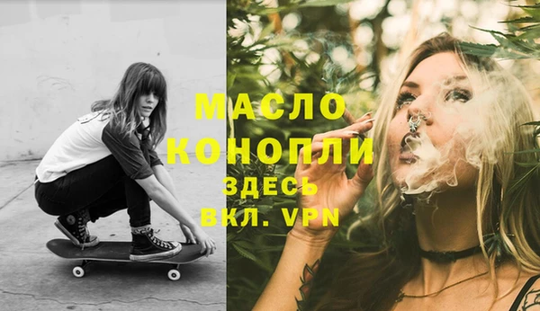 тгк Каменка