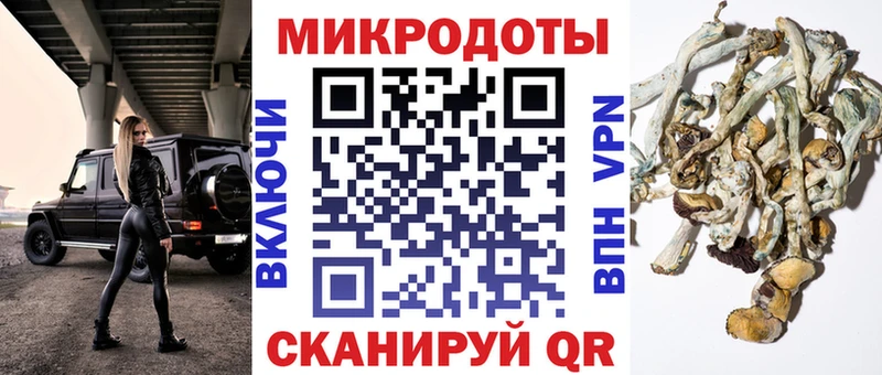 Купить закладки  Богородицк  Псилоцибиновые грибы Psilocybine cubensis 